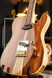 - Erhard Handmade Instruments Tele Modern