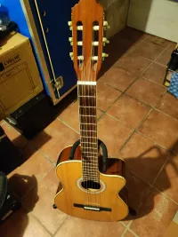 - Lavinia SC3904EQ Electro Acoustic klassische Gitarre - CsongorJams [Yesterday, 9:38 pm]