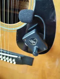 - MYERS Instrument microphone - TREW [December 29, 2025, 11:04 am]