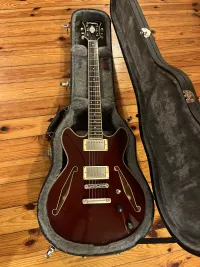 DAngelico Excel DC Tour