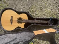 Dowina Marus Gace-S Electro-acoustic guitar - Székely Peti [Today, 7:57 pm]