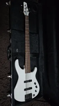 Fender MIJ MB5