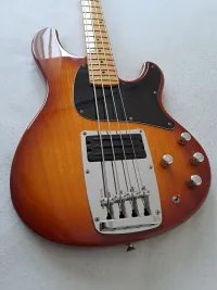 Ibanez ATK300