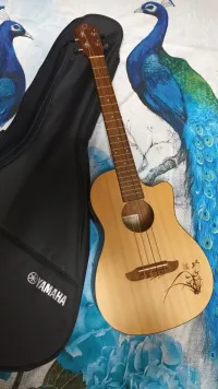 Ortega Bariton elektro-akusztikus ukulele Elektromos ukulele - Farkas Gabriella [Ma, 12:35]