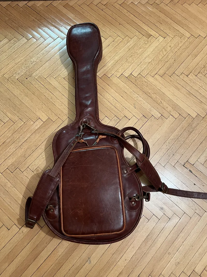 -  Guitar case