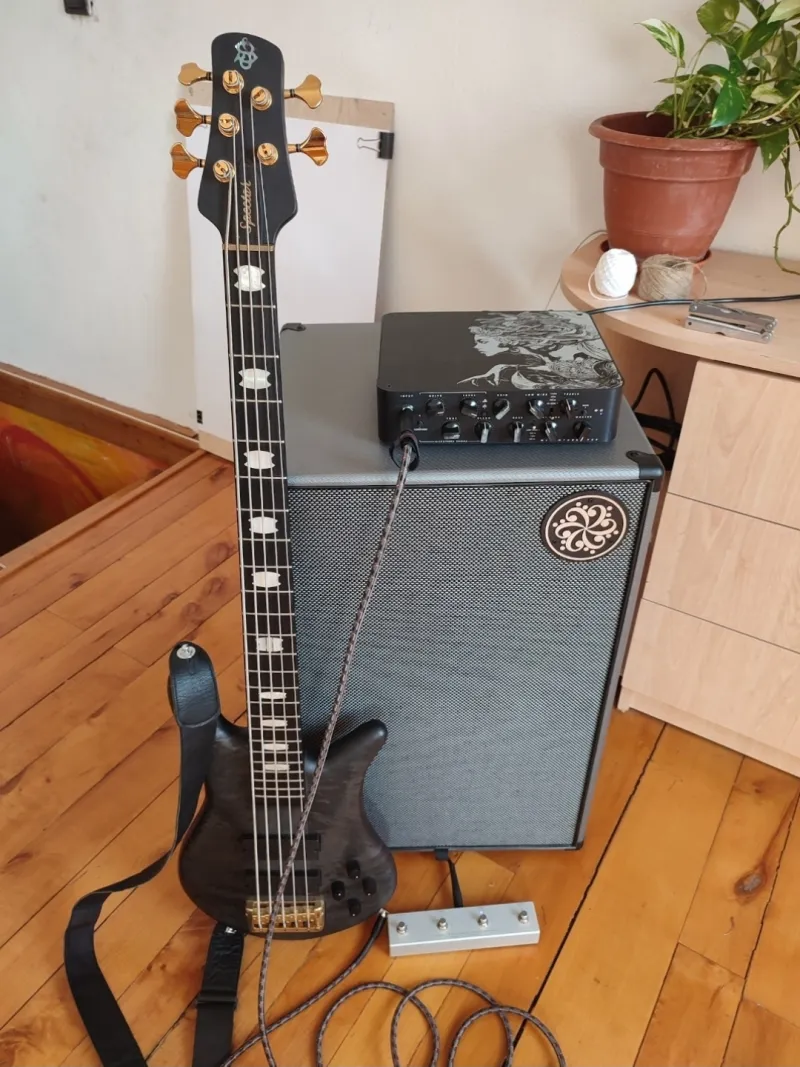 Darkglass Microtubes 900 V1 Medusa edition + DG212N Cab Bass amplifier head and cabinet