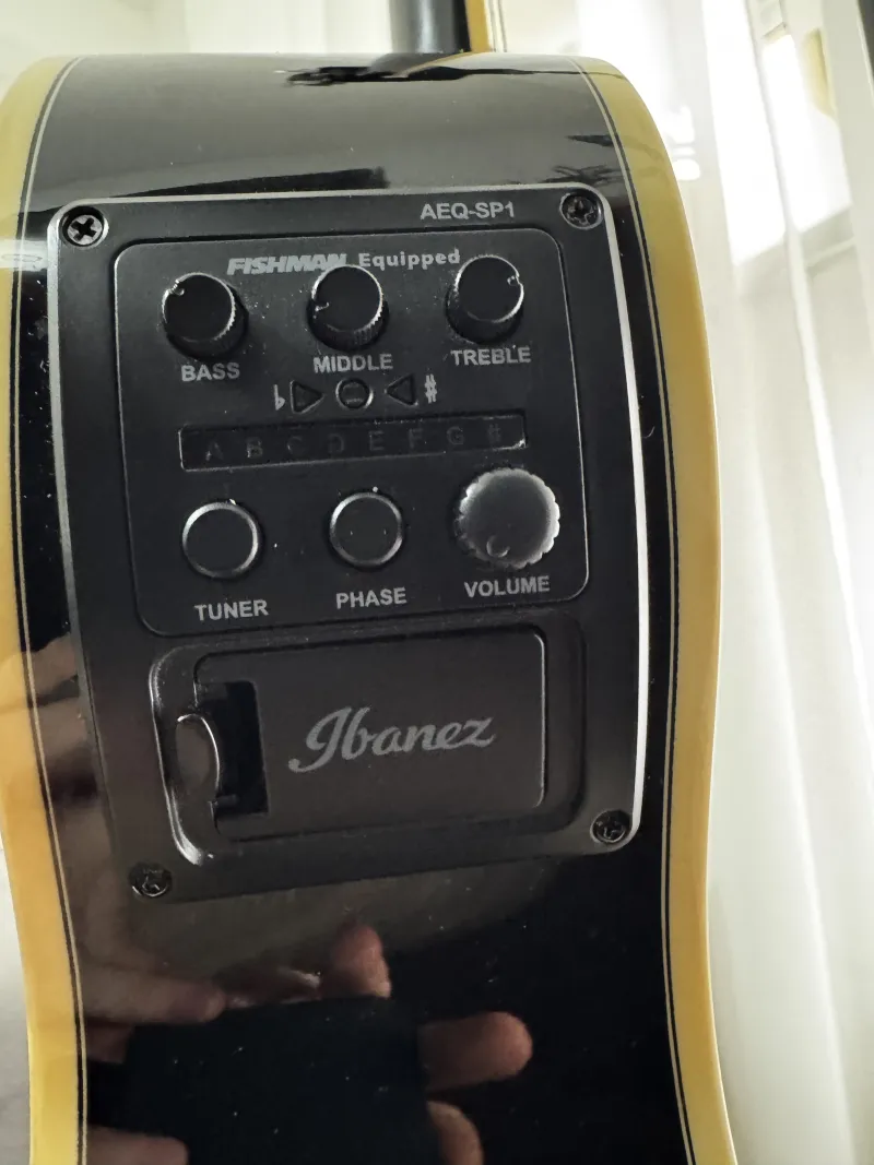 Ibanez AEG10NII BK Electro-acoustic guitar