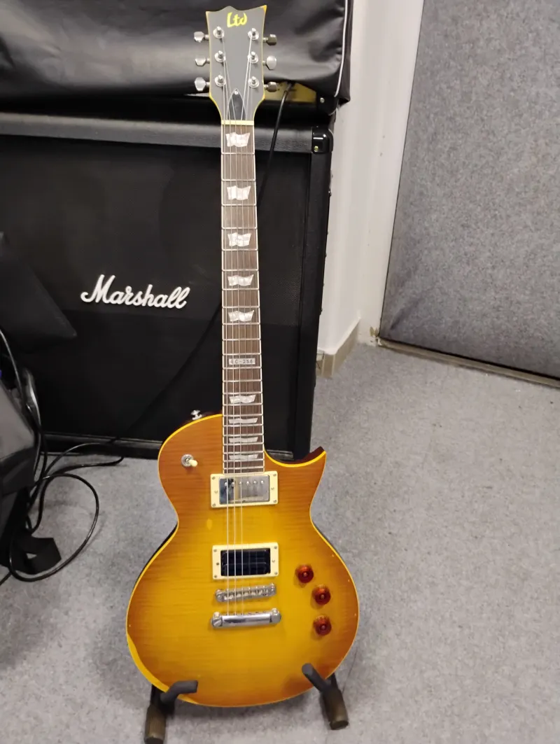 LTD EC-256 Aged Honey Burst E-Gitarre