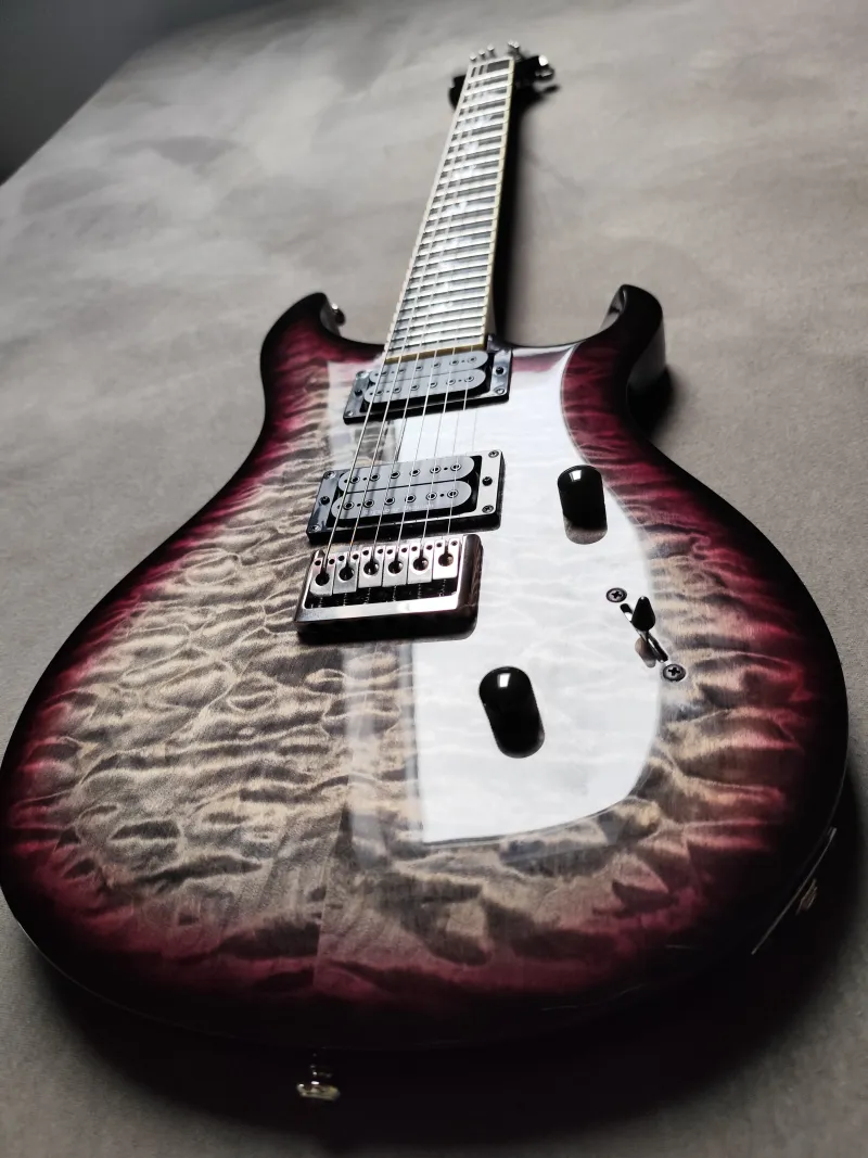 PRS Marc Holcomb E-Gitarre