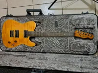 Fender Special Edition Custom Telecaster FMT HH IL Electric guitar - Novák Attila [Today, 6:31 pm]