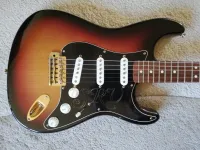 Fender SRV Stratocaster Electric guitar - Franto [Yesterday, 8:09 pm]