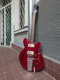 Fret-King Elise Custom with Classic Vibrato Elektrická gitara - Bence Toldi [Yesterday, 6:47 pm]