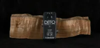 TC Electronic Ditto Looper