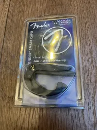 Fender Smart  - klasszikus  12-húros gitár