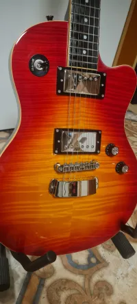 Hangström D2H delux