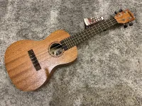 Kala LTP-C Concert  Kit