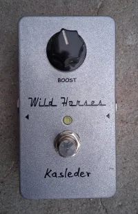 Kasleder Wild Horses Booster