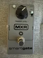MXR Smart Gate