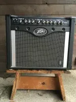 Peavey Envoy 110
