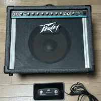 Peavey Studio pro 110