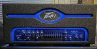 Peavey VB-3 + VB-810
