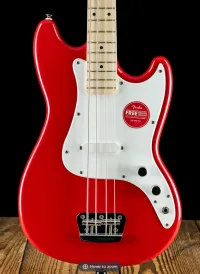 Squier Bronco Bass Bajo eléctrico - dronebender [Yesterday, 2:22 pm]