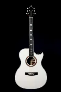 - Erhard Handmade Instruments OMCPC 24.24 Akustická gitara - Route51guitars [Today, 7:13 am]