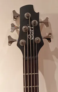 Cort Action V Plus Bajo de 5 cuerdas - Pál [Today, 1:29 pm]