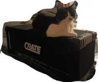 Crate GT50-H Gitárerősítő-fej - Cappa Apa [Ma, 00:04]