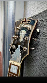 DAngelico Premier Atlantic Electric guitar - Bence Toldi [Today, 12:11 pm]