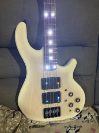 Enfield Lionheart Air Custom Bajo eléctrico [August 2, 2026, 1:02 pm]