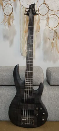 ESP B-205 SM