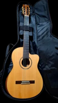 Ortega Striped Suice Ce Custom Electro Acoustic klassische Gitarre - instrument07 [Today, 12:38 am]
