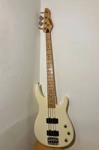 Peavey Foundation Bajo eléctrico - Szabolcs B [Today, 1:38 pm]