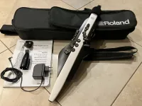 Roland Aerophone AE20-Digital Wind Instrument Electric Wind Instrument - kingmusic [February 11, 2026, 2:44 pm]
