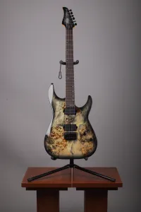 Schecter C-6 PRO