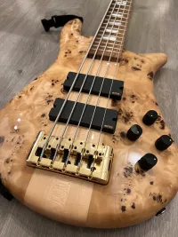 Spector Euro Lx5 5-Saiter Bass-Gitarre - Szimán Balázs [Today, 9:14 pm]