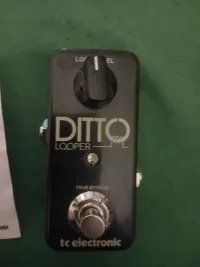 TC Electronic Ditto er