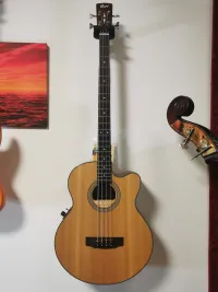 Woodhead Akusztikus P Bass ASP4