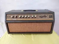 Acoustic G100T 50W-100W