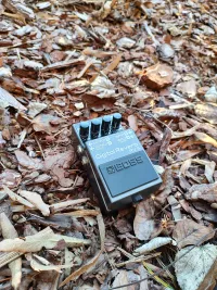 BOSS RV-5 Digital  -