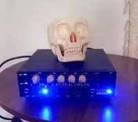 DV Mark Little 250 M