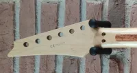 Ibanez RG550 EX Nyak - Csapó László [Tegnap, 22:58]