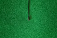 Sennheiser MKE 2 Mikrofon [January 17, 2026, 7:01 am]