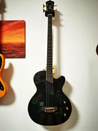 Washburn AB40 Elektroakusztikus basszusgitár