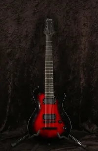 Framus Panthera D series