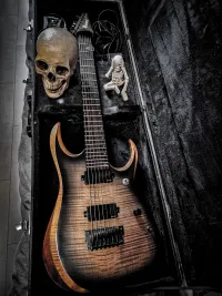 Ibanez RGD 71AL ANB + Fishman