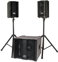 Peavey TRIFLEX II