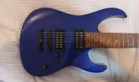 Washburn WG-587