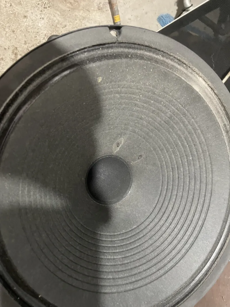 - 12 collos, 16 ohm, 100 wattos Speaker